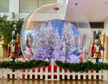 Magical Snow Globe Photo Booth!