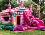 Princess and the Dragon bouncy castle and slide