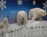Life-Size Polar Bears