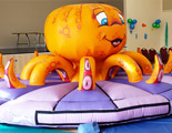 Ollie The Octopus playbed