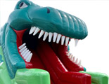 3D Dinosaur Slide